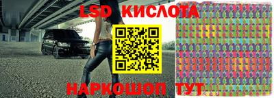 спайс Гатчина