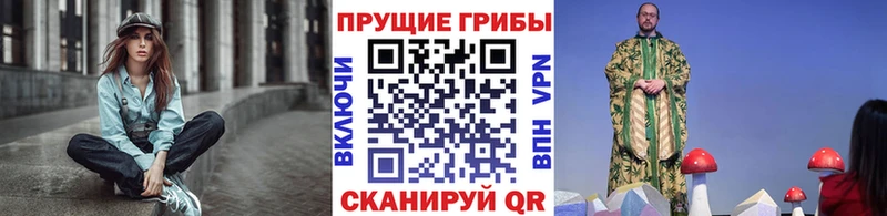 Галлюциногенные грибы Psilocybine cubensis  Михайловка 