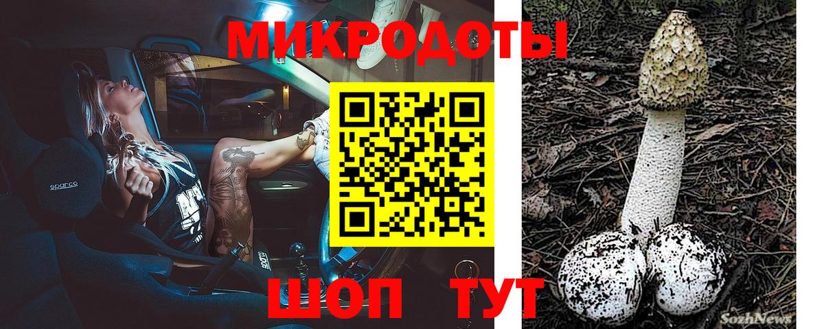 Михайловка  Галлюциногенные грибы мицелий  Вход с VPN 