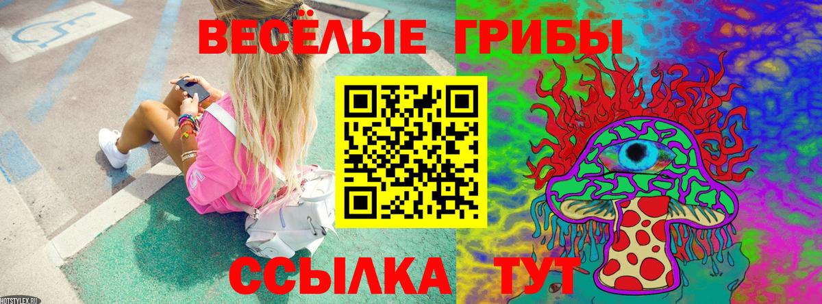 Галлюциногенные грибы Cubensis Михайловка